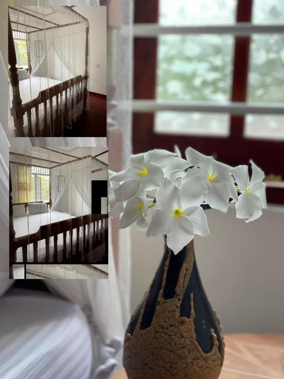 Wasana Ocean View Villa מיריסה מראה חיצוני תמונה